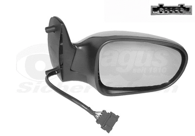 Exterior Mirror (1867818)