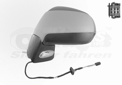 Exterior Mirror (4076807)