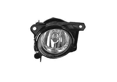 Front Fog Light (5825997)
