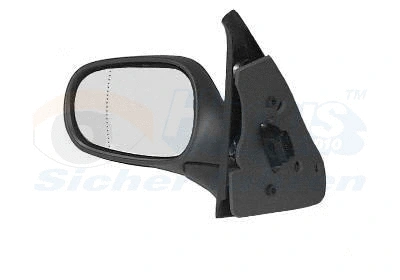 Exterior Mirror (4339808)