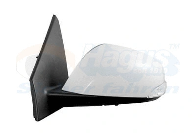Exterior Mirror (4377807)