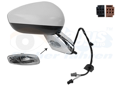 Exterior Mirror (1075818)