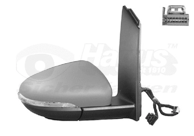 Exterior Mirror (5735808)