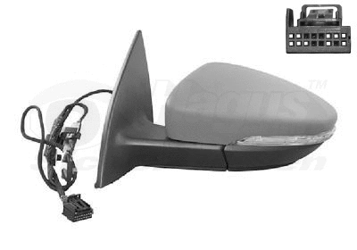 Exterior Mirror (5891807)