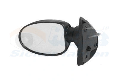 Exterior Mirror (4342804)