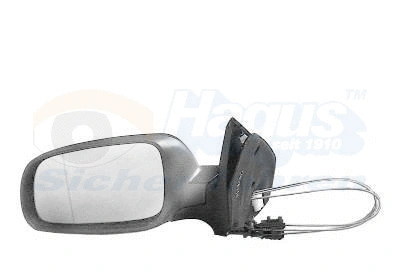 Exterior Mirror (5888813)