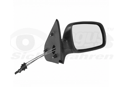 Exterior Mirror (4914804)