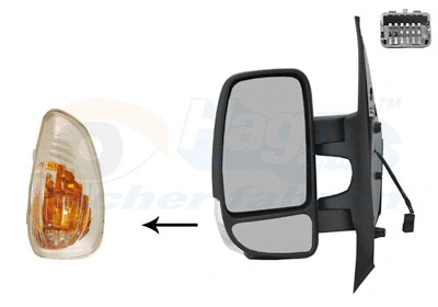 Exterior Mirror (3799801)