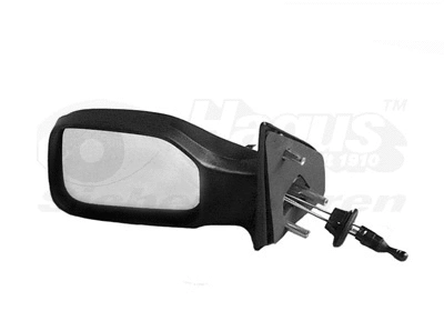 Exterior Mirror (4009803)