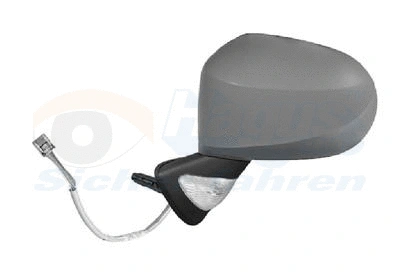 Exterior Mirror (4367807)