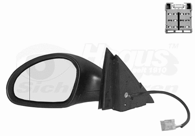 Exterior Mirror (4917805)