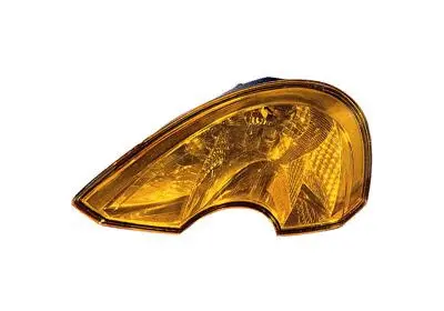 Direction Indicator (4366903)