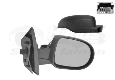 Exterior Mirror (4372808)