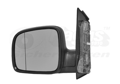 Exterior Mirror (5896803)