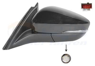 Exterior Mirror (1949817)