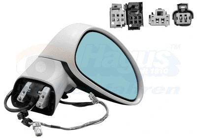 Exterior Mirror (0970818)