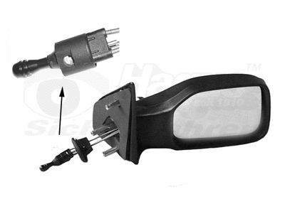 Exterior Mirror (4009814)