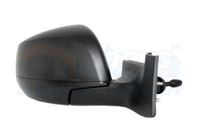 Exterior Mirror (3702804)