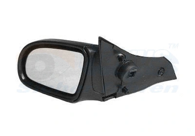 Exterior Mirror (3776807)