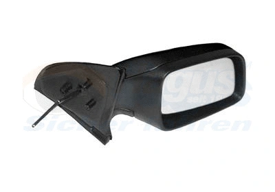 Exterior Mirror (3742814)