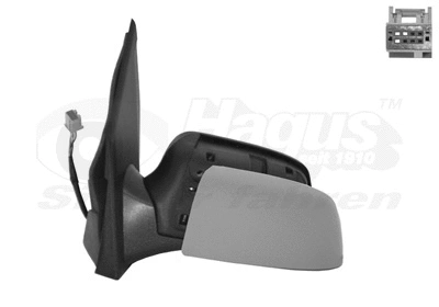 Exterior Mirror (1806817)