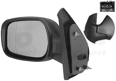 Exterior Mirror (4310817)