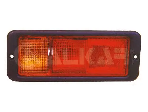 Tail Light Assembly (2201020)