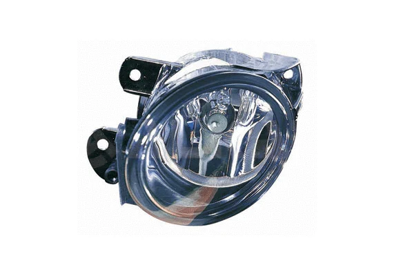 Front Fog Light (2906118)