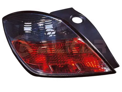 Tail Light Assembly (2222438)