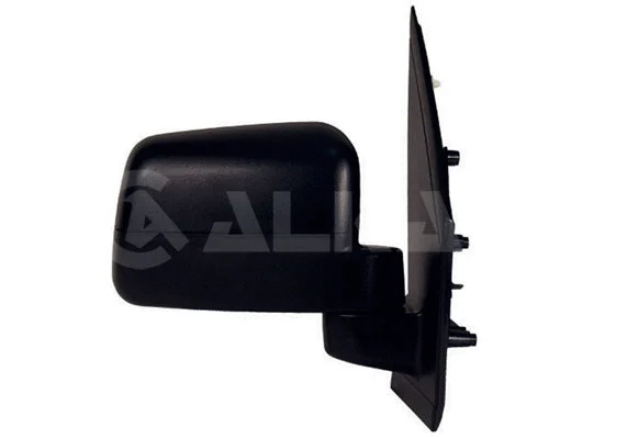 Exterior Mirror (9202396)