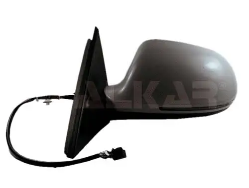 Exterior Mirror (6130795)