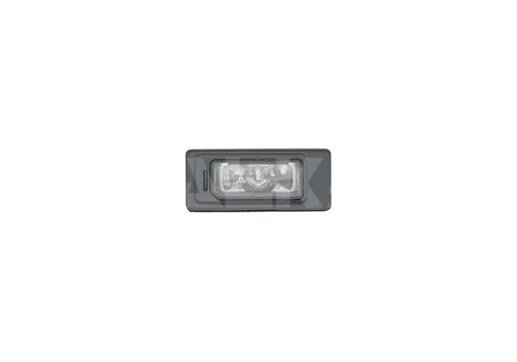 Licence Plate Light (2413500)