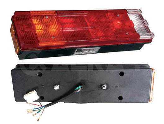 Tail Light Assembly (9755009)
