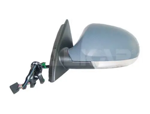 Exterior Mirror (6141118)