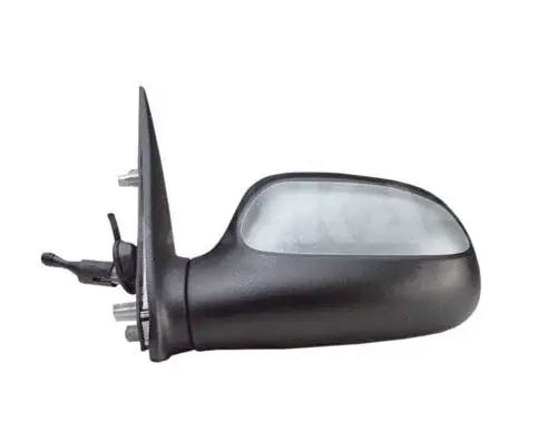Exterior Mirror (6137338)