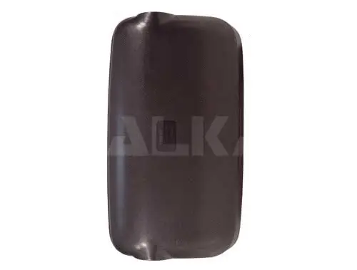 Exterior Mirror, driver cab (9473263)