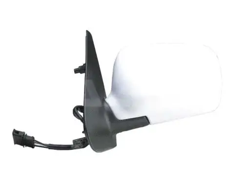Exterior Mirror (6125107)