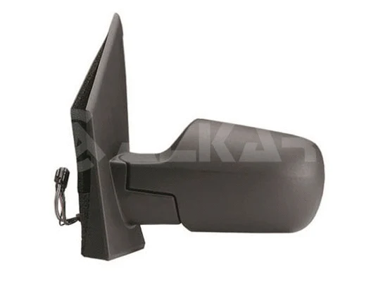 Exterior Mirror (6125387)