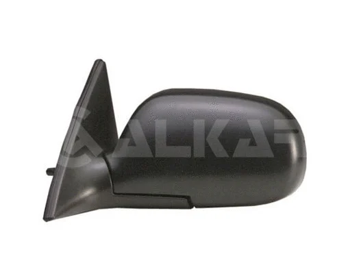 Exterior Mirror (6164991)