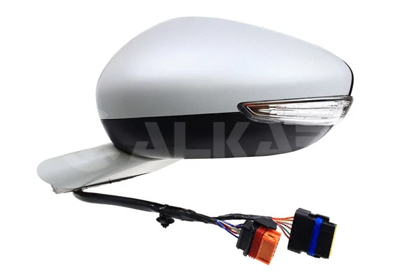 Exterior Mirror (6143870)