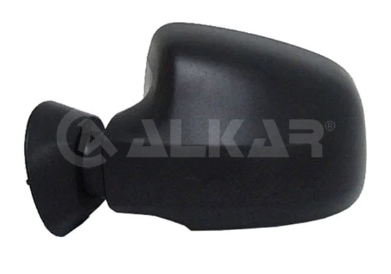 Exterior Mirror (6101594)