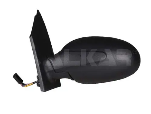 Exterior Mirror (6125010)