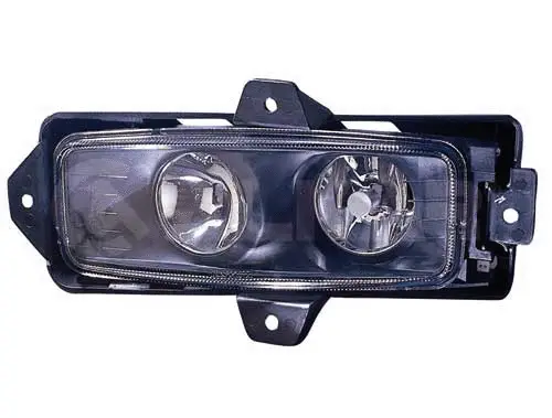 Front Fog Light (9611016)