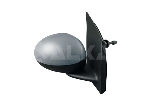 Exterior Mirror (6102857)