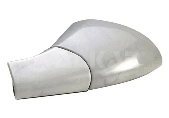 Exterior Mirror (6125433)