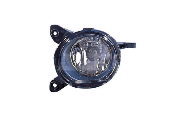 Front Fog Light (2901264)