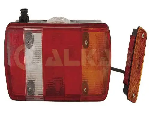 Tail Light Assembly (9775009)