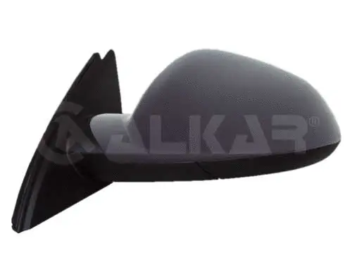 Exterior Mirror (6122426)
