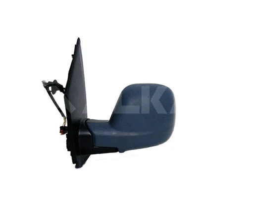 Exterior Mirror (9239916)