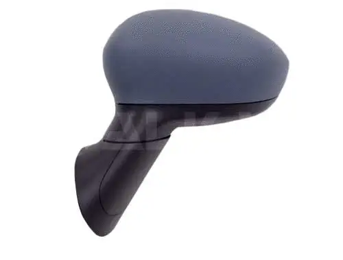 Exterior Mirror (6139933)